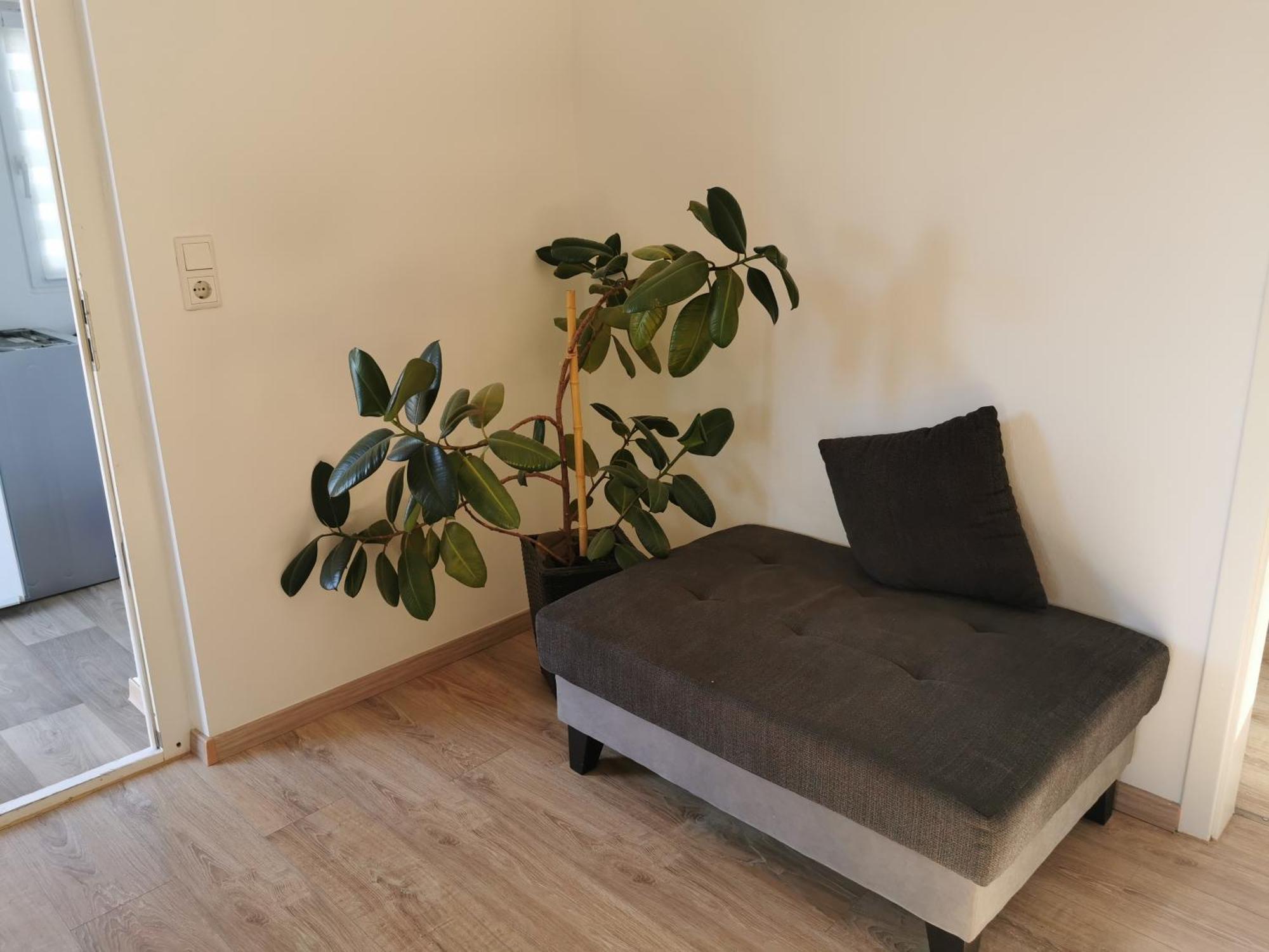 4-Zimmer-Wohnung Mit 6 Betten 바트왼하우젠 외부 사진